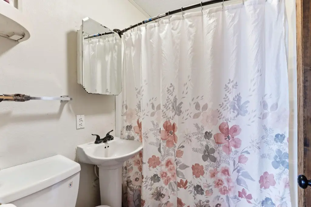 Picture 16
