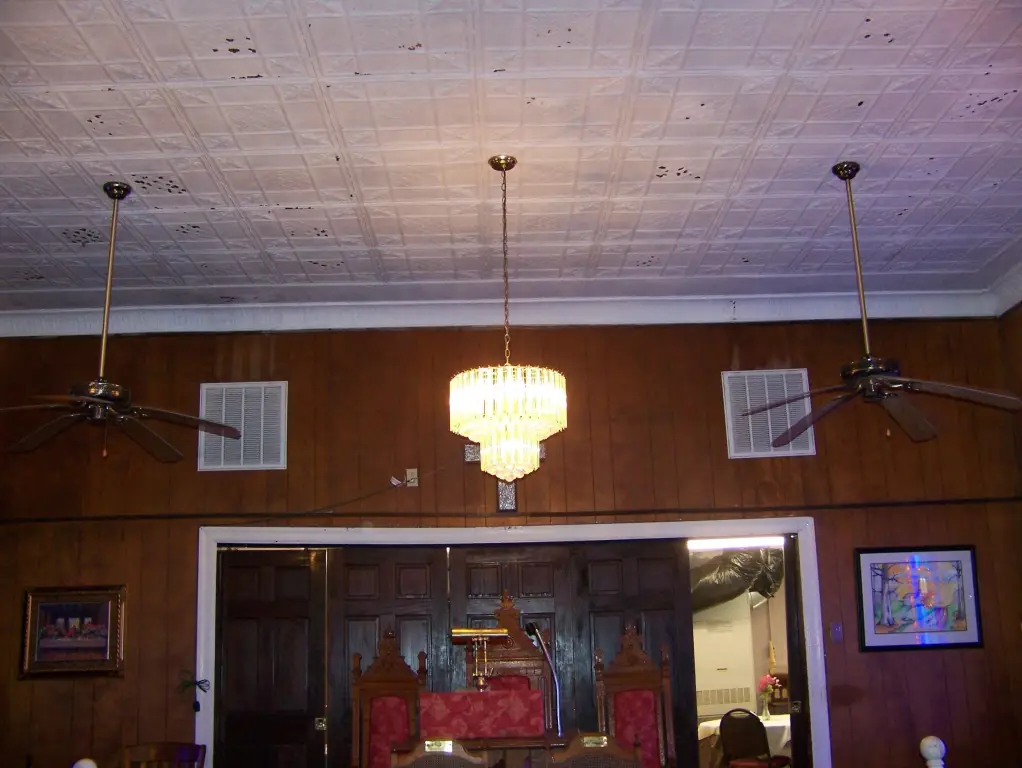 Picture 11
