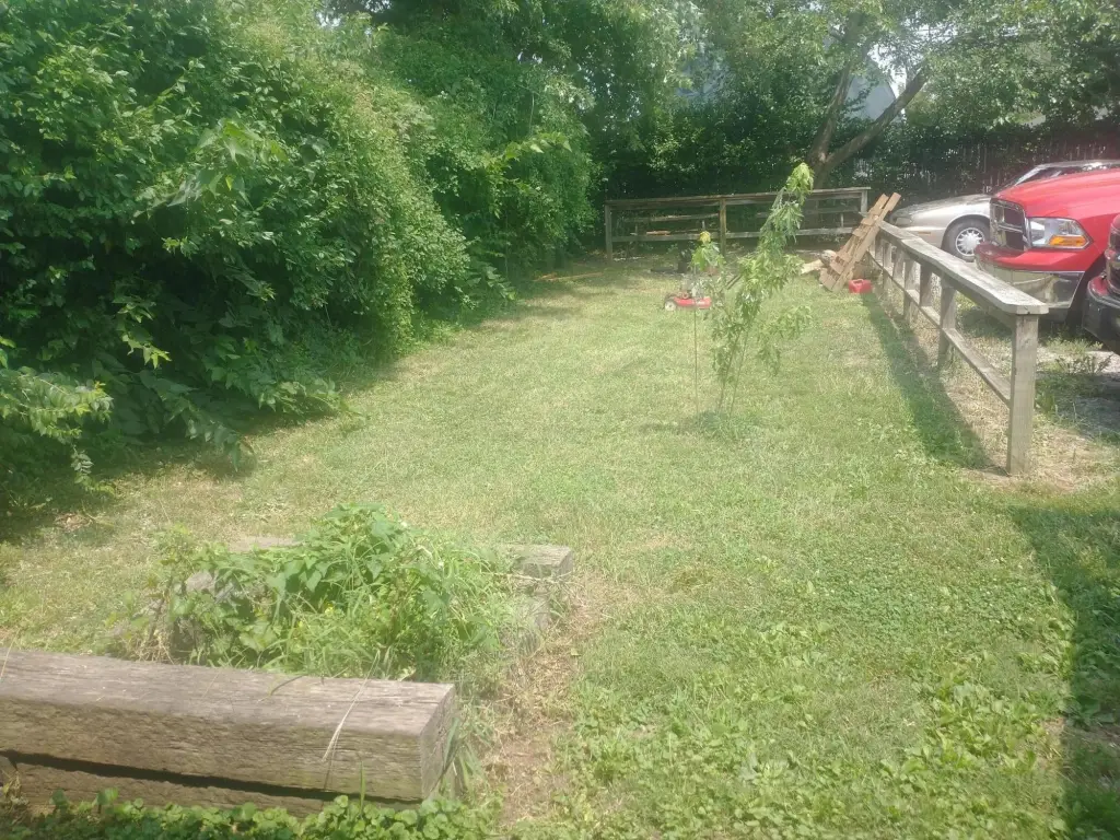 Picture 10