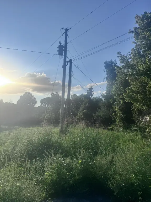 Picture 20