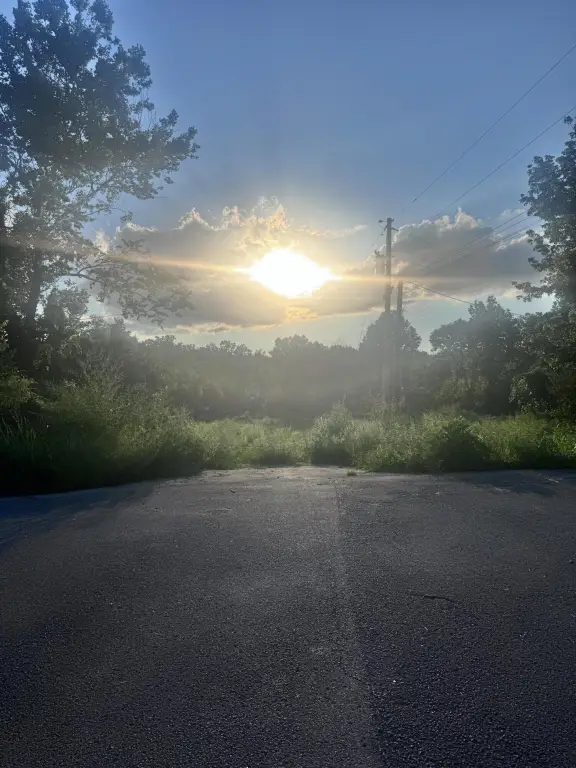 Picture 21