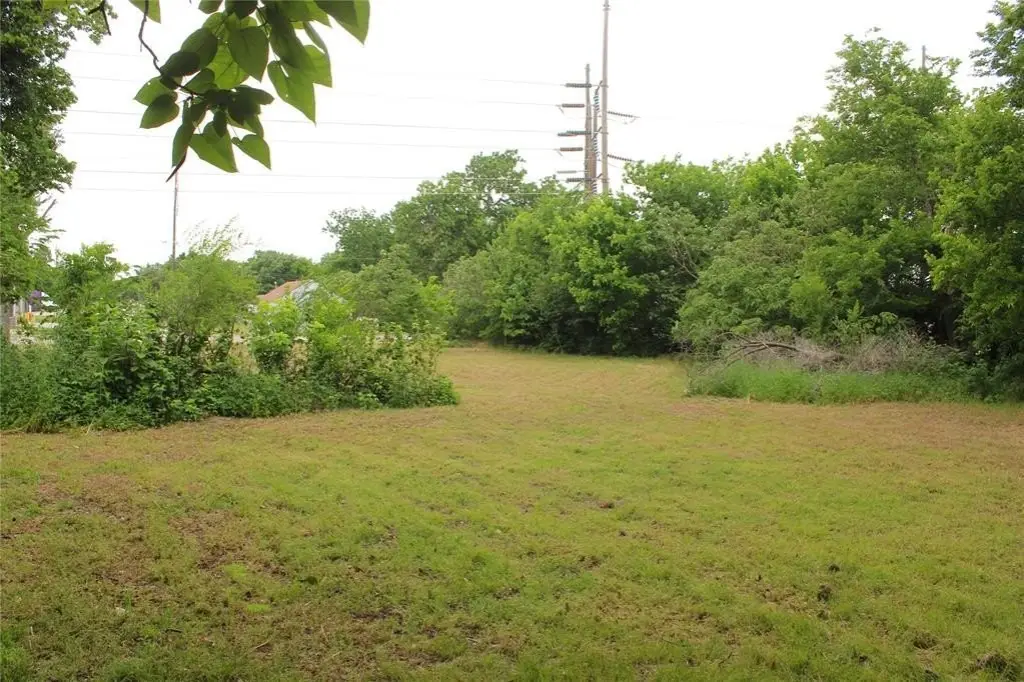 Picture 3