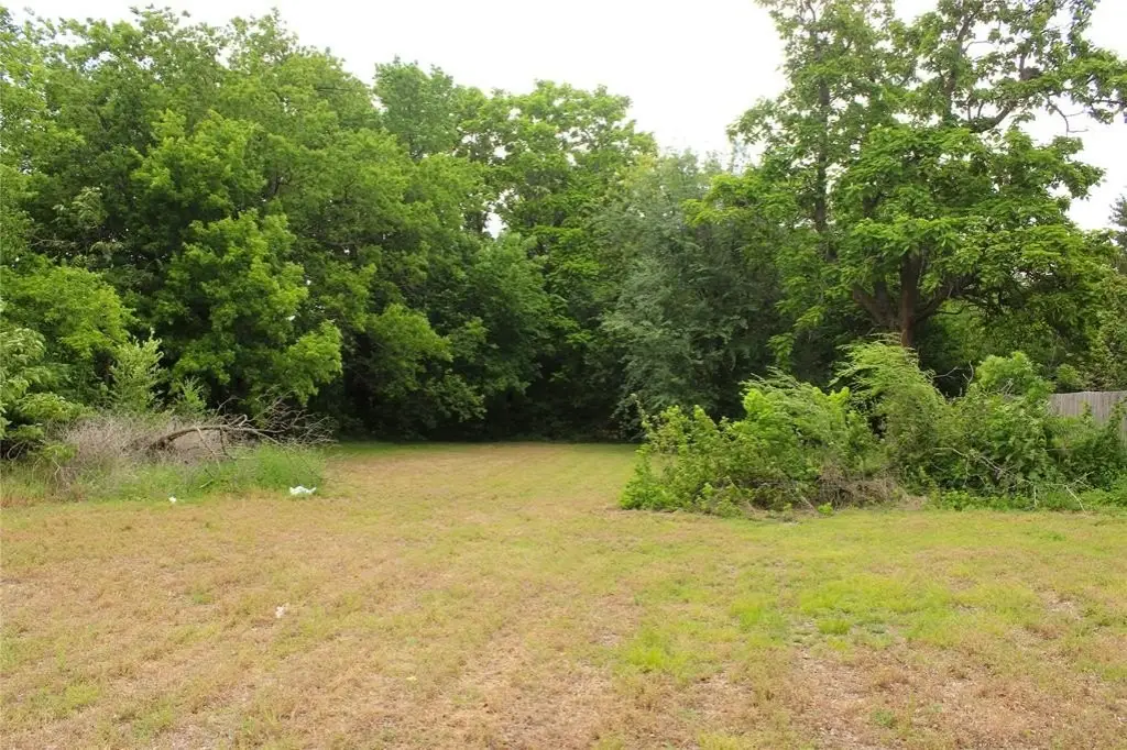 Picture 4