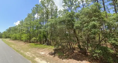 Residential Land in Citrus Springs