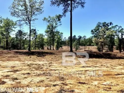 Development Land Near Bay Minette