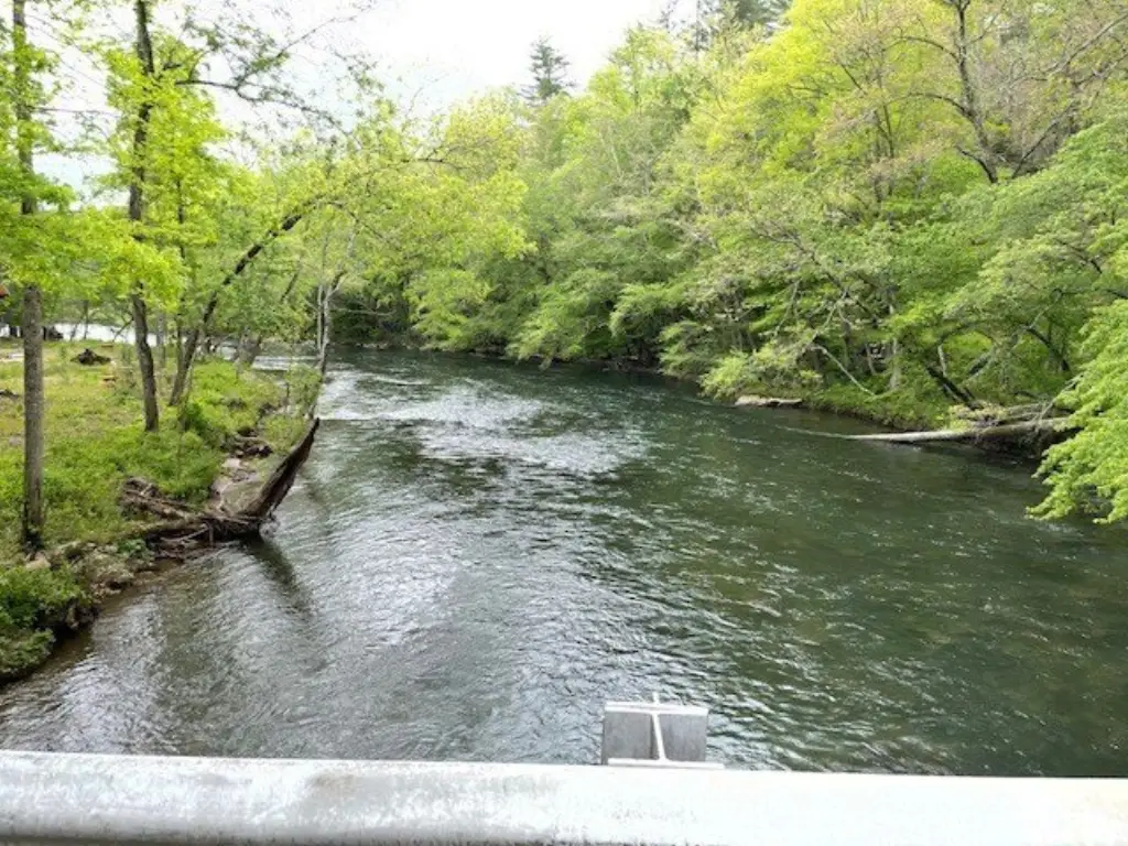 Picture 11