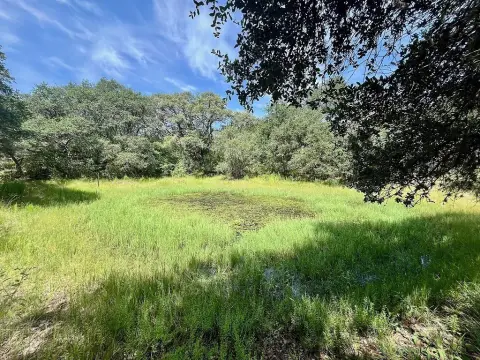 Secluded Acreage in Colorado County
