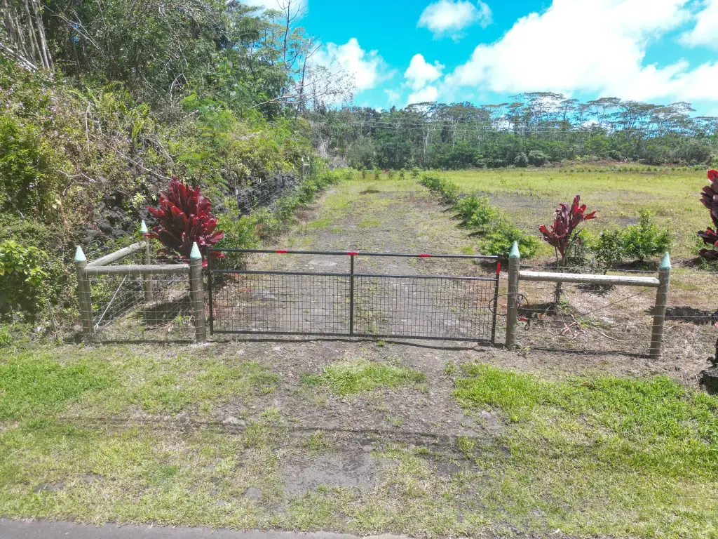 Picture 5