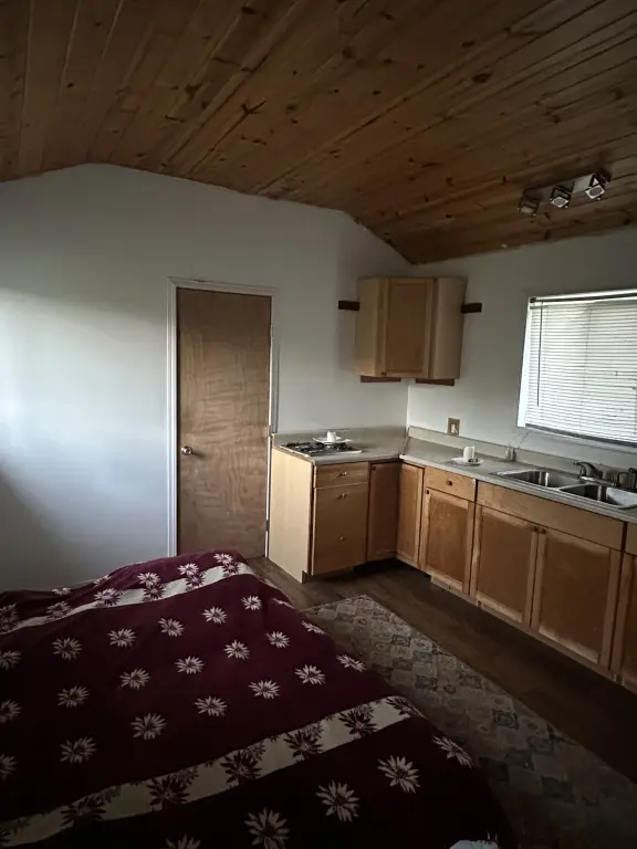 Picture 5