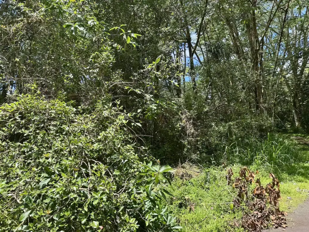 Picture 5