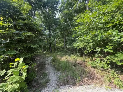 Wooded Residential Building Lot