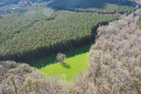 Hunting Land Near Collierville