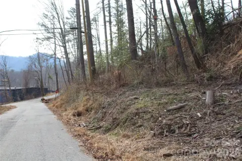 Spruce Pine Corner Lot