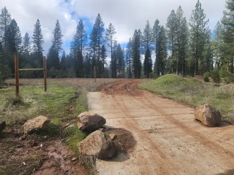 Shingletown Land with Views