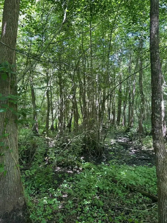 Picture 18