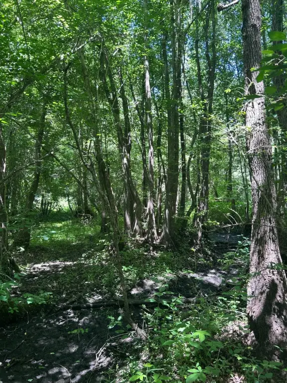 Picture 11