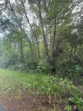 Land For Sale, Tyler, TX