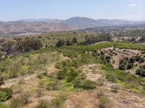 20 Acres Land with Orchard