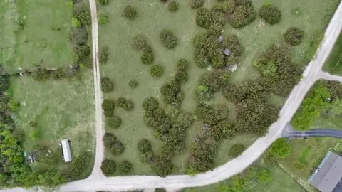 Two Lots in Cleburne, TX