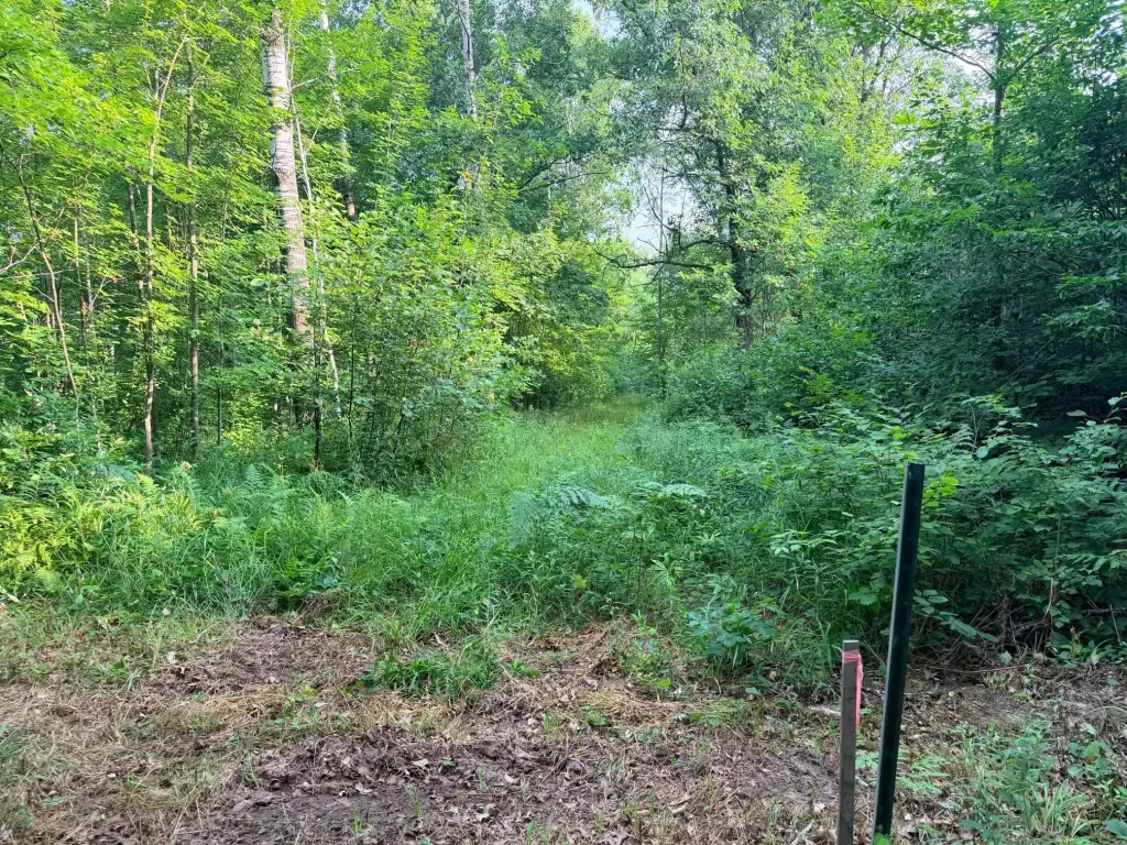 Picture 14