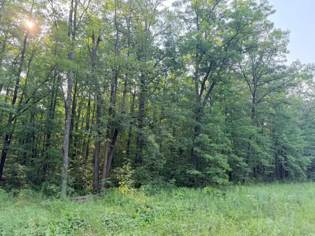 Picture 25