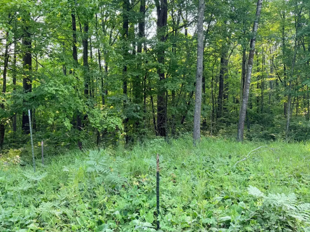 Picture 41