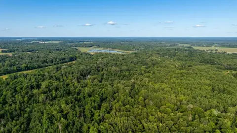 Wooded Hunting Land