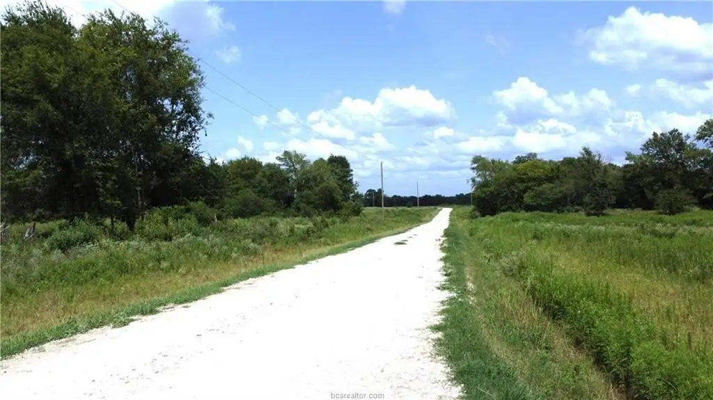 Picture 3