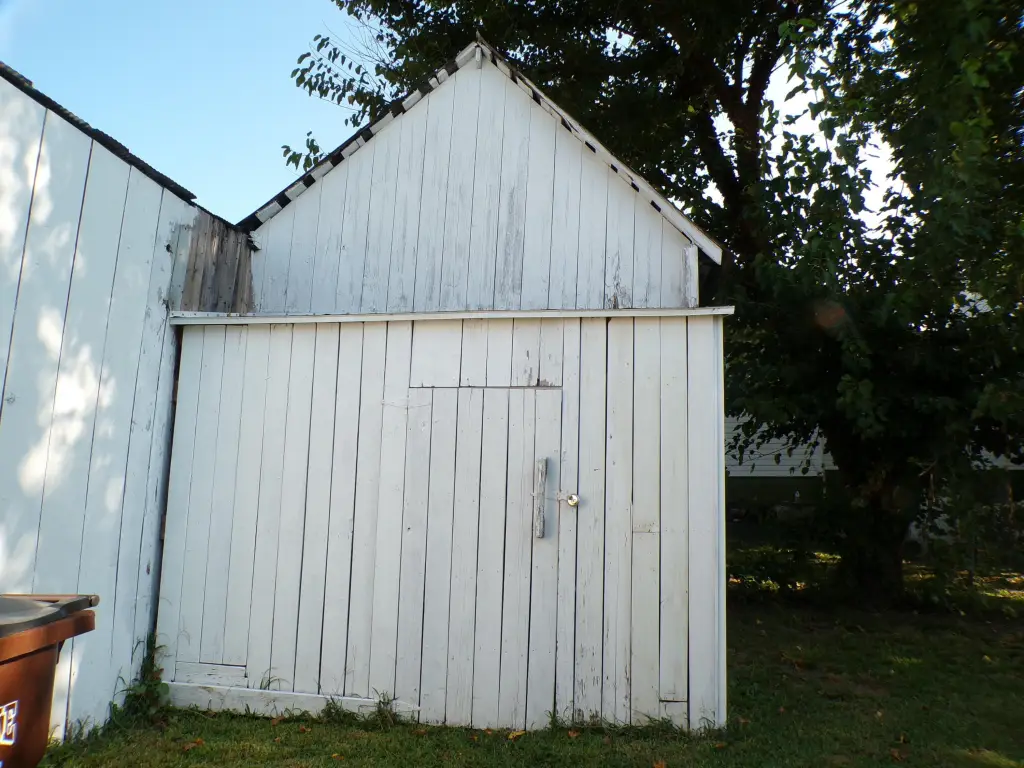 Picture 4