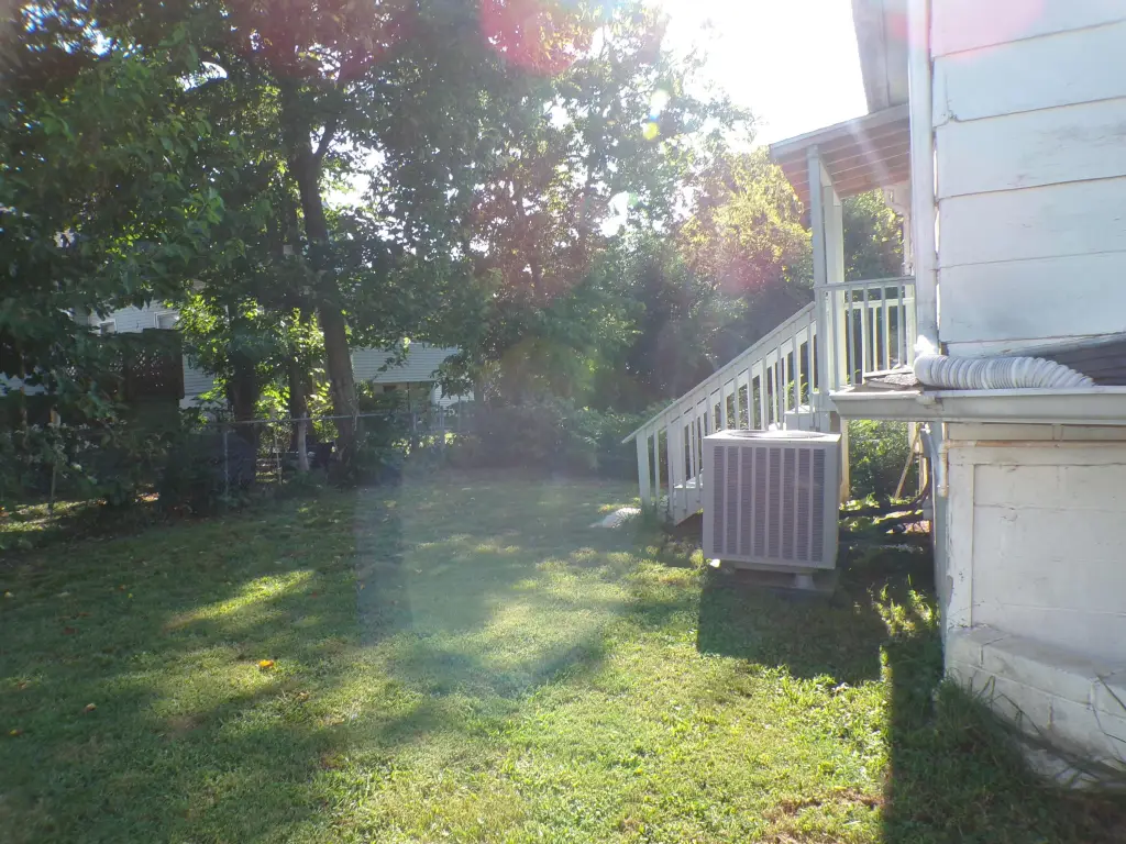 Picture 5