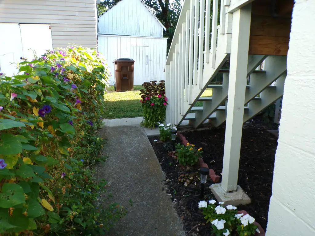 Picture 3