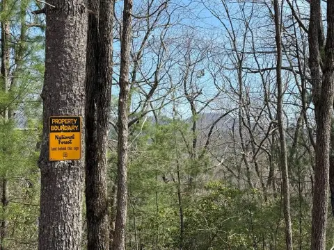 Land Near Hiwassee Lake