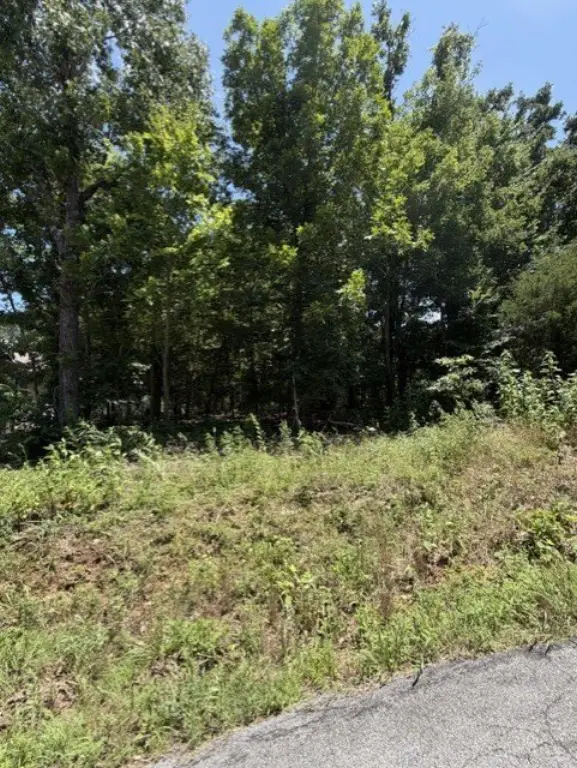 Picture 3