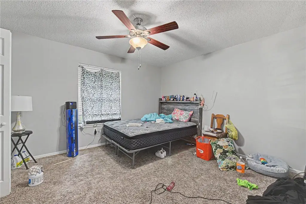 Picture 15