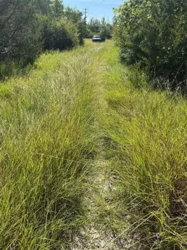 Residential Land Near Cleburne Park