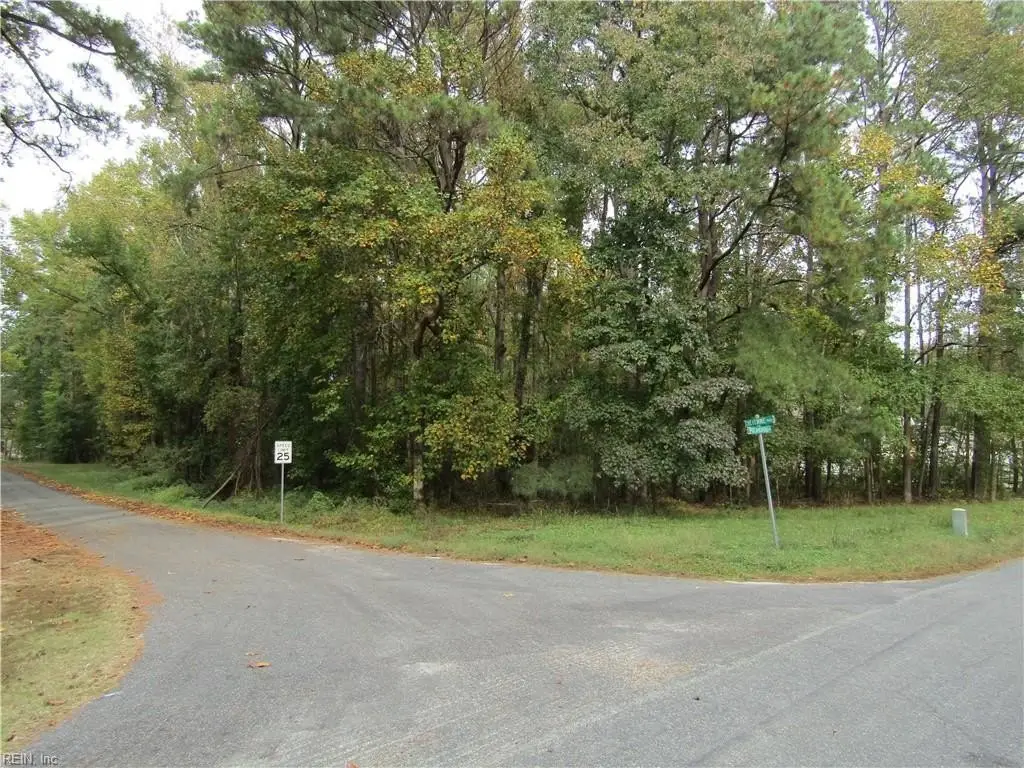 Picture 5