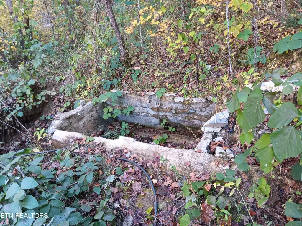 Picture 36