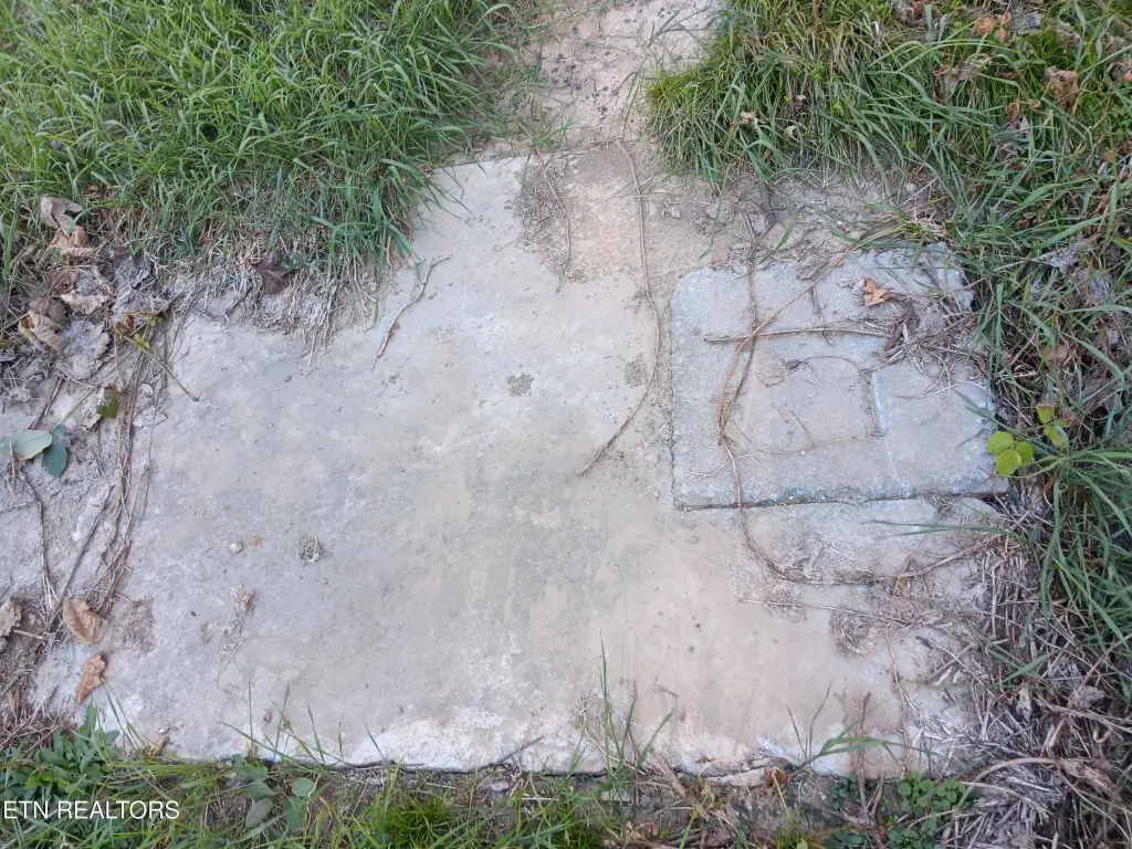 Picture 13