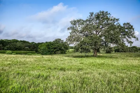 Land Near Round Top, TX