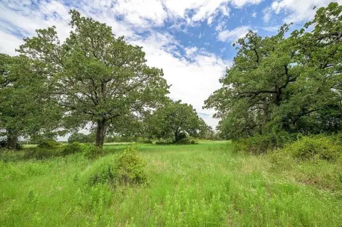 Giddings Acreage with Highway Access