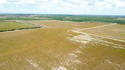 363.91 Acres in Live Oak