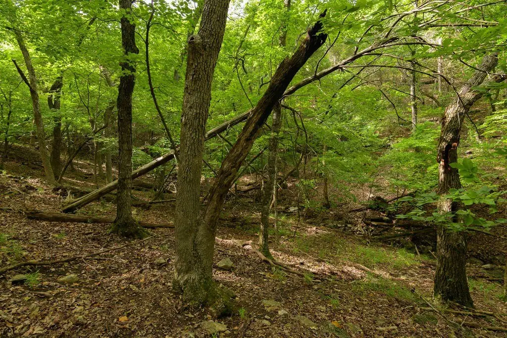 Picture 21