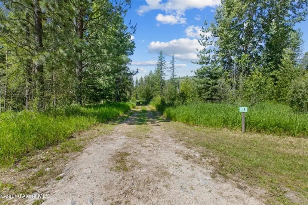 Picture 20