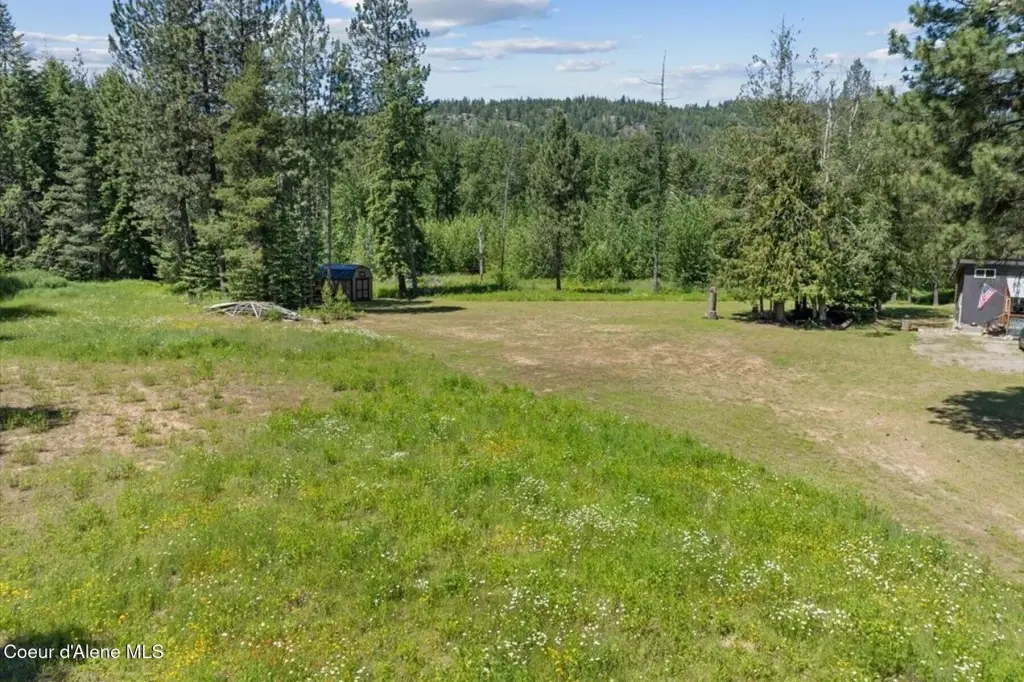 Picture 17