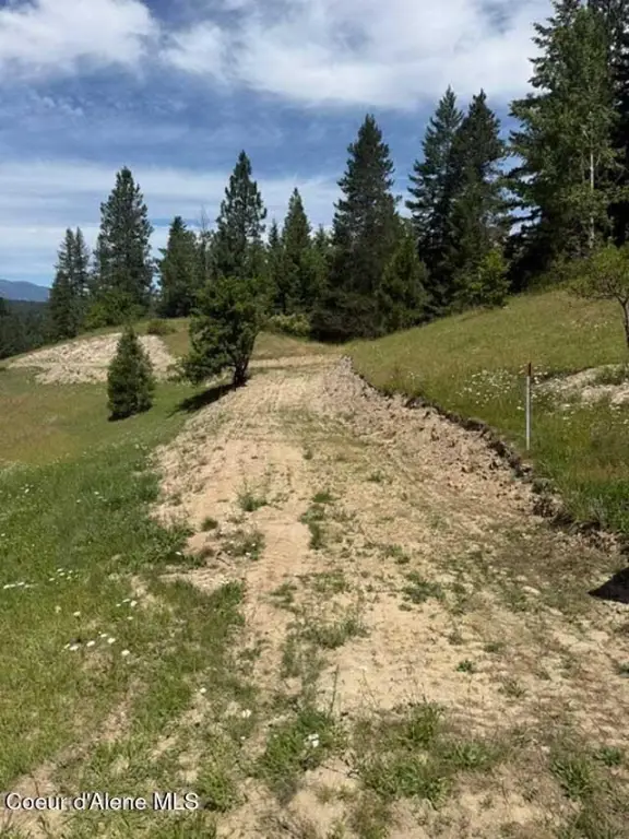 Picture 18