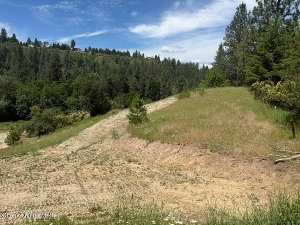 Picture 22