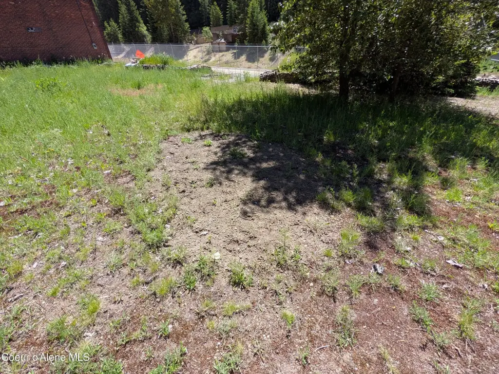 Picture 11