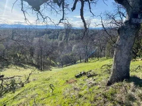 Anderson Land with Valley Views