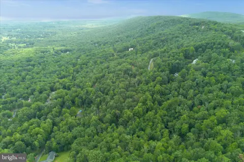Wooded Mountain Land