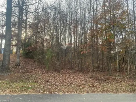 Wooded Lot in Established Neighborhood